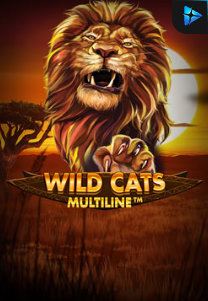 Bocoran RTP Wild Cat Multiline di MAXIM178 GENERATOR RTP TERBARU 2023 LENGKAP