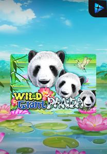 Bocoran RTP Wild Giant Panda di MAXIM178 GENERATOR RTP TERBARU 2023 LENGKAP